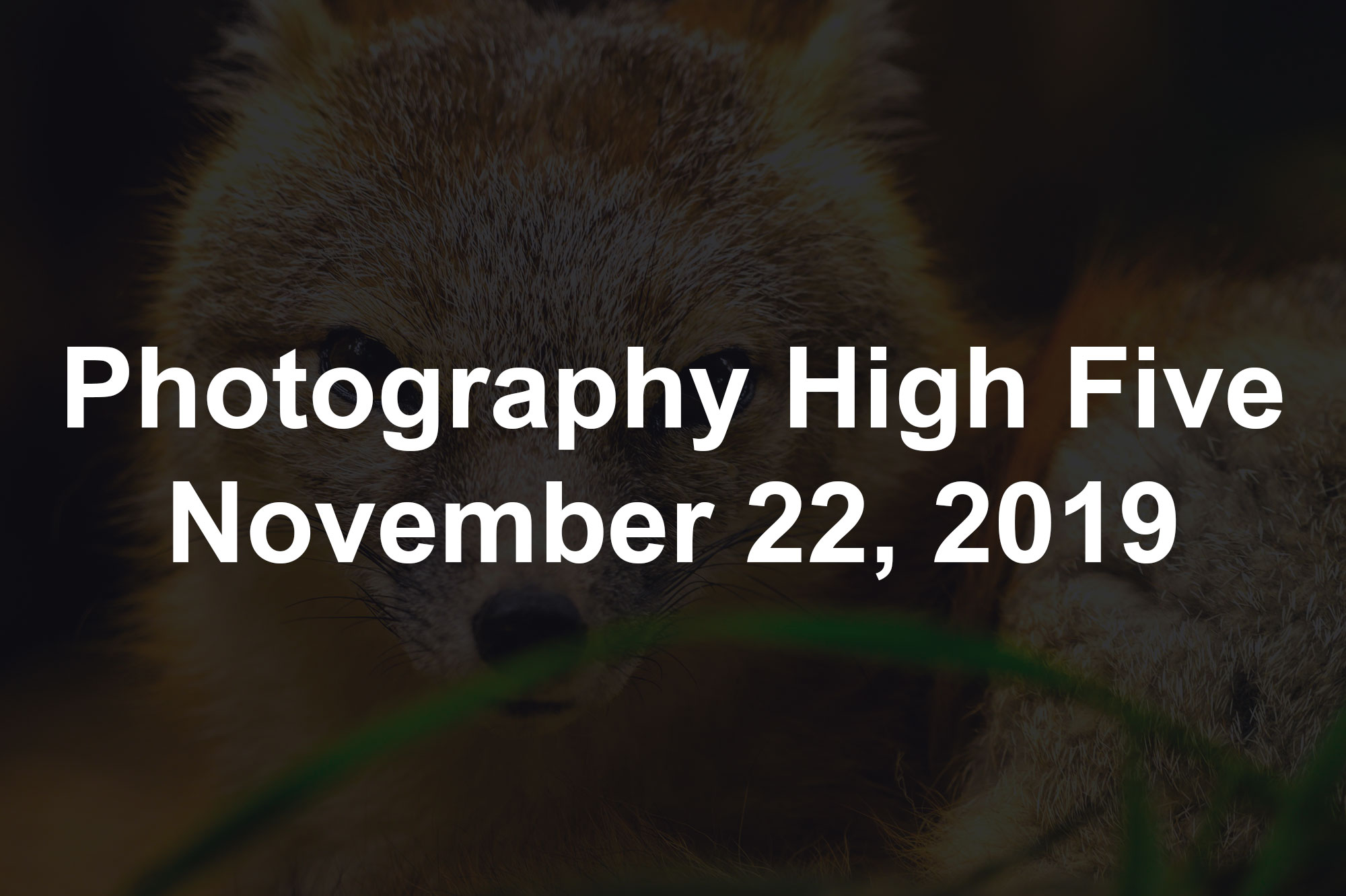 Photography High Five November 22, 2019