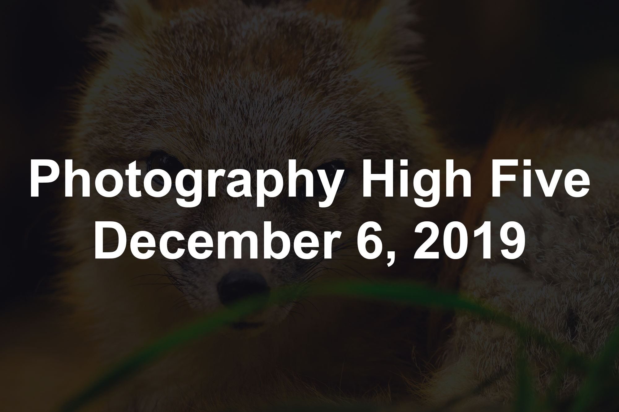 Photography High Five December 6, 2019